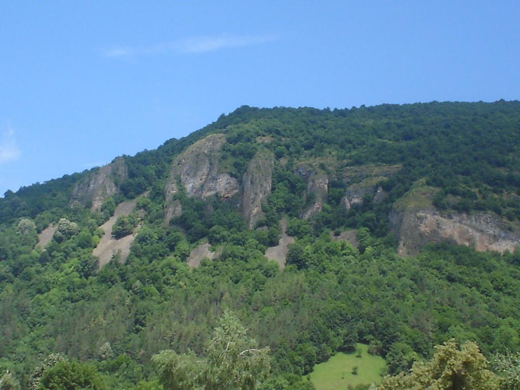 Къщата - Къща За Гости Ribaritsa Exteriör bild